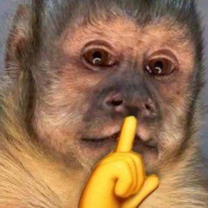 Meet your Posher, Ivan